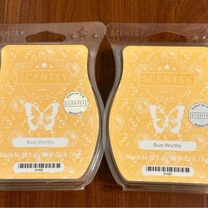 2 Scentsy Bars Buzz Worthy